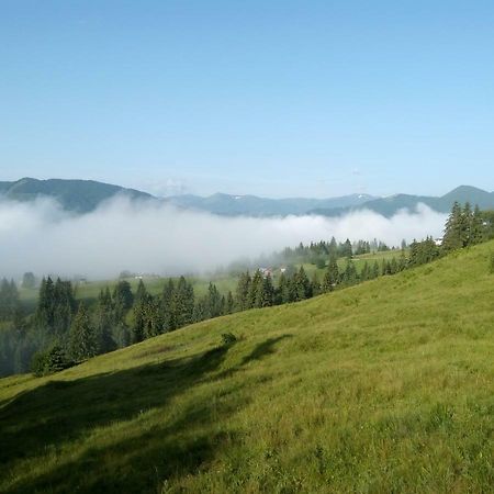 Appartamento Karpatskiy Maetok Verkhovyna Esterno foto