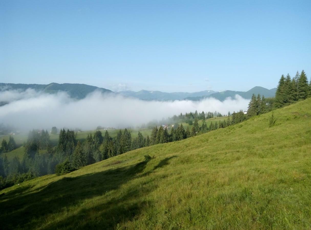 Appartamento Karpatskiy Maetok Verkhovyna Esterno foto